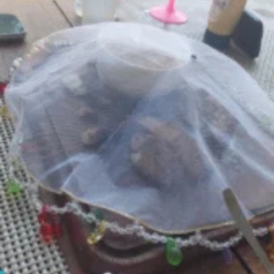 Cobridor de Pratos